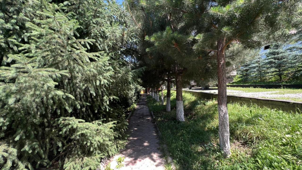 Гостевой Дом Коль-Тор Kegeti Ngoại thất bức ảnh